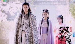 双世宠妃在线观看高清,穿越时空的甜蜜邂逅